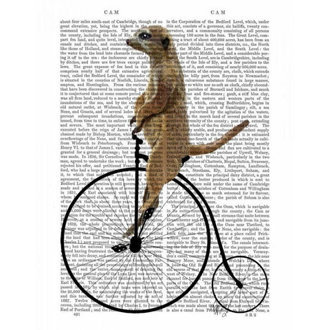 Meerkat on Black Penny Farthing White Modern Wood Framed Art Print by Fab Funky