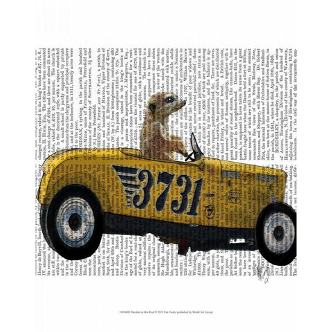 Meerkat in Hot Rod White Modern Wood Framed Art Print by Fab Funky