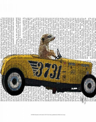 Meerkat in Hot Rod White Modern Wood Framed Art Print with Double Matting by Fab Funky