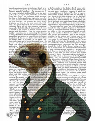 Dandy Meerkat Portrait Black Ornate Wood Framed Art Print with Double Matting by Fab Funky