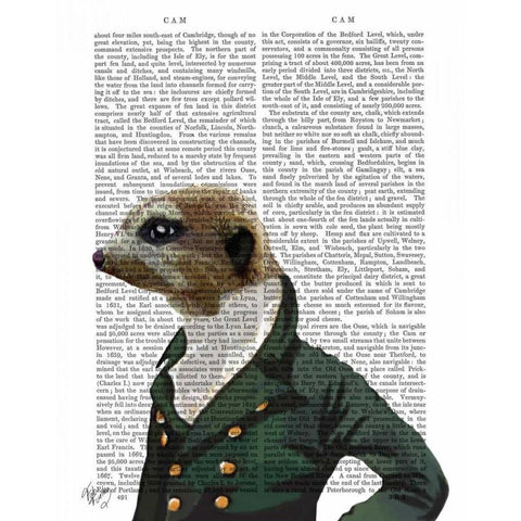 Dandy Meerkat Portrait Gold Ornate Wood Framed Art Print with Double Matting by Fab Funky