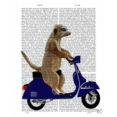 Meerkat on Dark Blue Moped Black Modern Wood Framed Art Print with Double Matting by Fab Funky