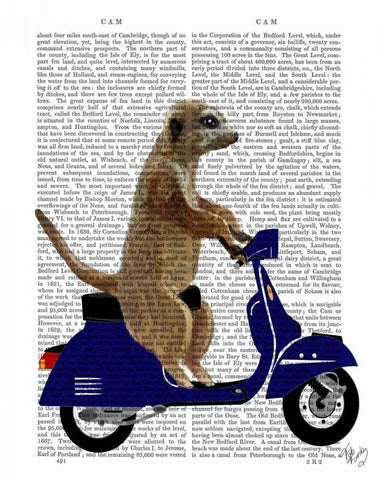 Meerkat on Dark Blue Moped Black Ornate Wood Framed Art Print with Double Matting by Fab Funky