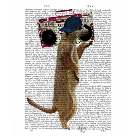 Meerkat with Boom Box Ghetto Blaster White Modern Wood Framed Art Print by Fab Funky