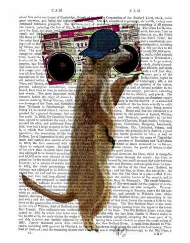 Meerkat with Boom Box Ghetto Blaster White Modern Wood Framed Art Print with Double Matting by Fab Funky