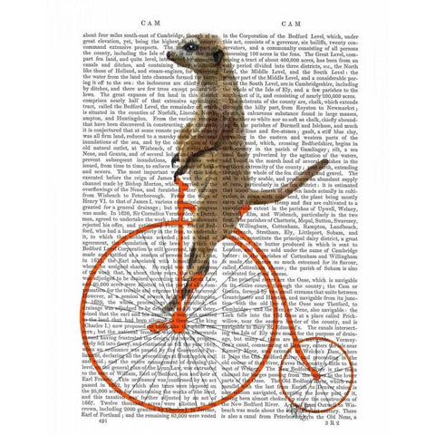 Meerkat on Orange Penny Farthing Gold Ornate Wood Framed Art Print with Double Matting by Fab Funky