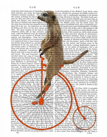 Meerkat on Orange Penny Farthing White Modern Wood Framed Art Print with Double Matting by Fab Funky