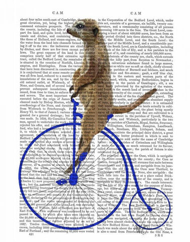 Meerkat On Blue Penny Farthing Black Ornate Wood Framed Art Print with Double Matting by Fab Funky