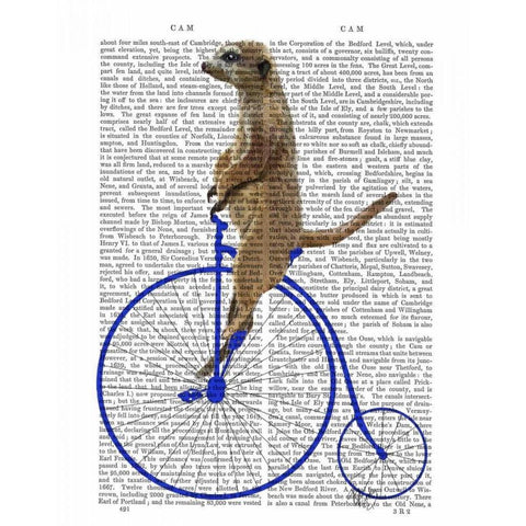 Meerkat On Blue Penny Farthing Gold Ornate Wood Framed Art Print with Double Matting by Fab Funky