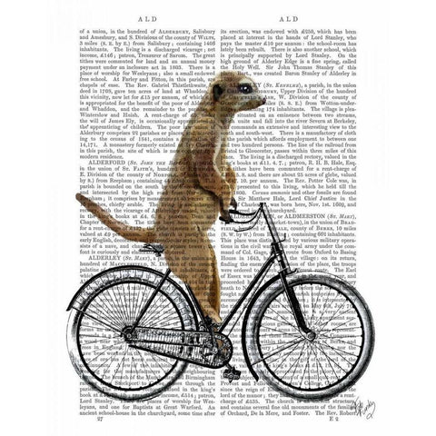 Meerkat on Bicycle Gold Ornate Wood Framed Art Print with Double Matting by Fab Funky