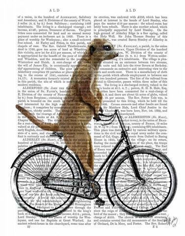 Meerkat on Bicycle Black Ornate Wood Framed Art Print with Double Matting by Fab Funky