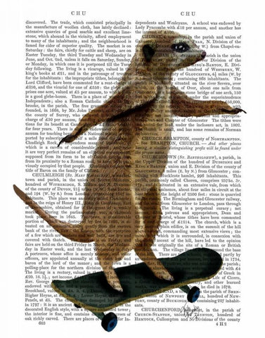 Meerkat On Skateboard Black Ornate Wood Framed Art Print with Double Matting by Fab Funky