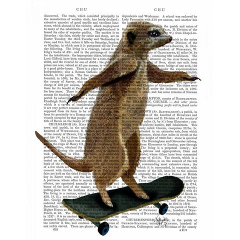 Meerkat On Skateboard Black Modern Wood Framed Art Print with Double Matting by Fab Funky