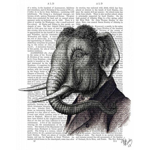 Elephant Portrait Black Modern Wood Framed Art Print with Double Matting by Fab Funky