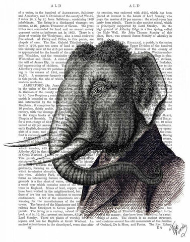 Elephant Portrait Black Ornate Wood Framed Art Print with Double Matting by Fab Funky