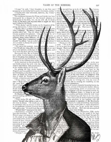 Deer Portrait 2 Black Ornate Wood Framed Art Print with Double Matting by Fab Funky