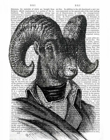 Mountain Goat Portrait Black Ornate Wood Framed Art Print with Double Matting by Fab Funky