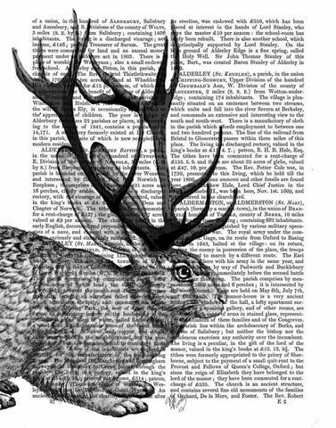 Jackalope Portrait 2 Black Ornate Wood Framed Art Print with Double Matting by Fab Funky