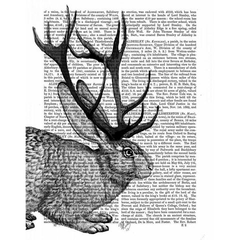 Jackalope Portrait 2 White Modern Wood Framed Art Print by Fab Funky