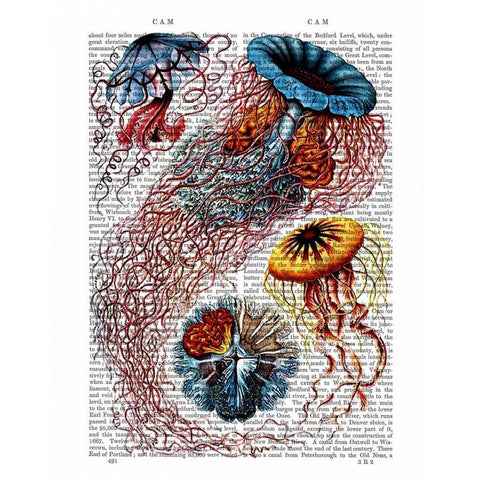 Sea Anemone Black Modern Wood Framed Art Print with Double Matting by Fab Funky