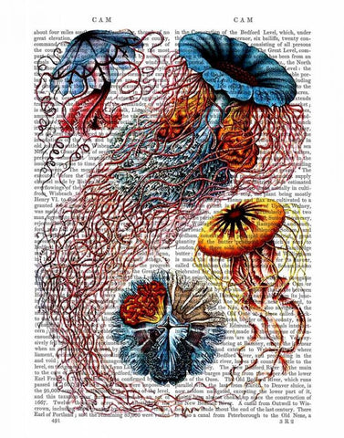 Sea Anemone White Modern Wood Framed Art Print with Double Matting by Fab Funky