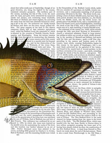 Great Hog Fish White Modern Wood Framed Art Print with Double Matting by Fab Funky