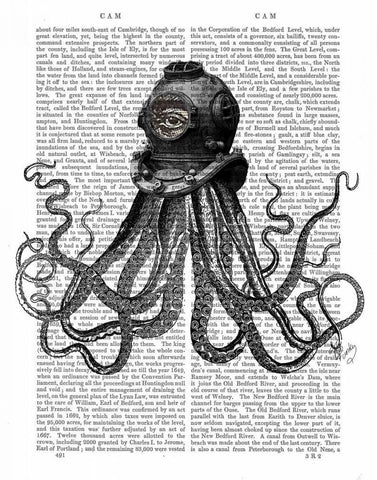 Octopus and Diving Helmet Black Ornate Wood Framed Art Print with Double Matting by Fab Funky