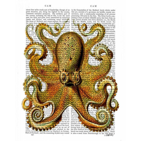 Vintage Yellow Octopus Front Black Modern Wood Framed Art Print with Double Matting by Fab Funky