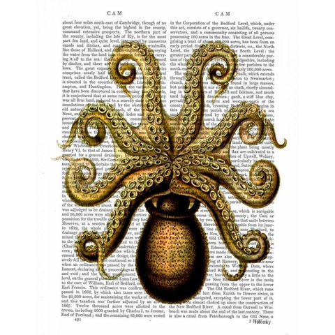 Vintage Yellow Octopus Underside Black Modern Wood Framed Art Print with Double Matting by Fab Funky