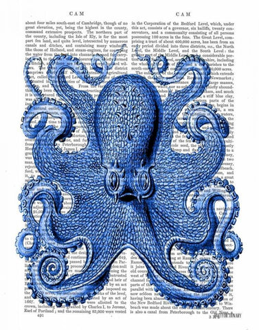 Vintage Blue Octopus 1  Front Black Ornate Wood Framed Art Print with Double Matting by Fab Funky