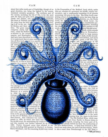 Vintage Blue Octopus 1 Underside Black Ornate Wood Framed Art Print with Double Matting by Fab Funky