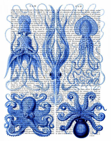 Octopus and Squid Blue White Modern Wood Framed Art Print with Double Matting by Fab Funky