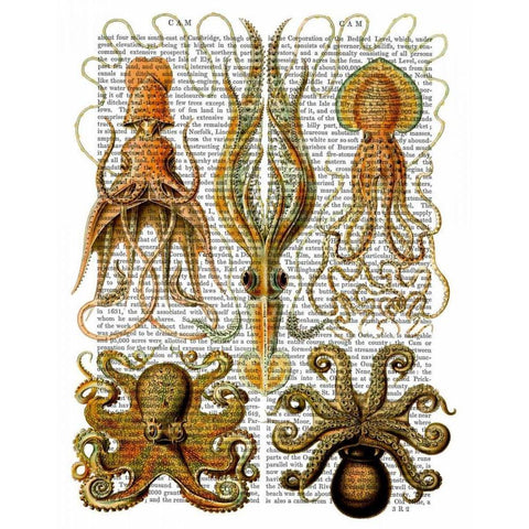 Octopus and squid White Modern Wood Framed Art Print by Fab Funky