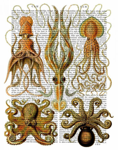 Octopus and squid White Modern Wood Framed Art Print with Double Matting by Fab Funky