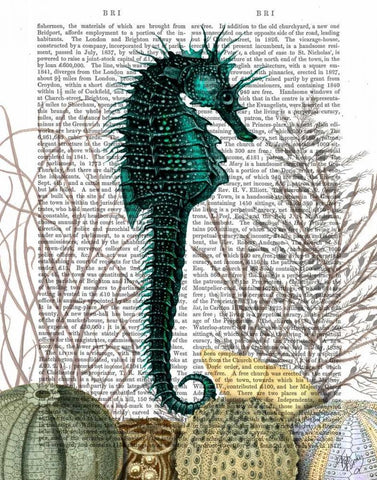 SeaHorse and Sea Urchins White Modern Wood Framed Art Print with Double Matting by Fab Funky