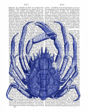 Blue Crab White Modern Wood Framed Art Print with Double Matting by Fab Funky