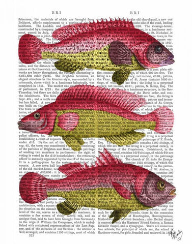 Red and Yellow Fantasy Fish Trio White Modern Wood Framed Art Print with Double Matting by Fab Funky