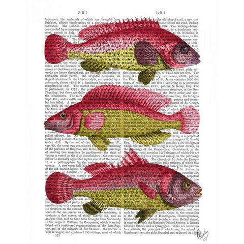 Red and Yellow Fantasy Fish Trio Gold Ornate Wood Framed Art Print with Double Matting by Fab Funky