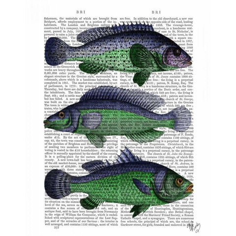 Blue and Green Fish Trio Gold Ornate Wood Framed Art Print with Double Matting by Fab Funky