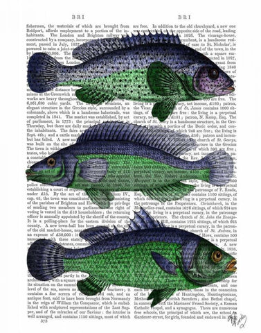 Blue and Green Fish Trio Black Ornate Wood Framed Art Print with Double Matting by Fab Funky