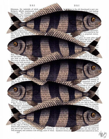 Five Striped Fish Black Ornate Wood Framed Art Print with Double Matting by Fab Funky