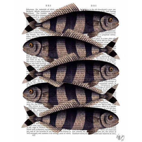 Five Striped Fish Black Modern Wood Framed Art Print with Double Matting by Fab Funky