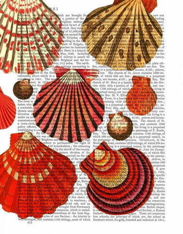 Red Clam Shells White Modern Wood Framed Art Print with Double Matting by Fab Funky