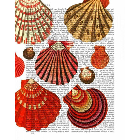 Red Clam Shells Gold Ornate Wood Framed Art Print with Double Matting by Fab Funky