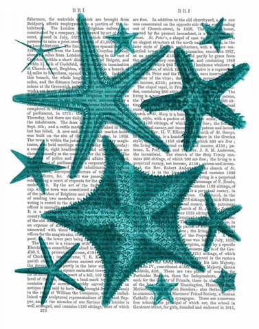 Green Starfish Collection White Modern Wood Framed Art Print with Double Matting by Fab Funky