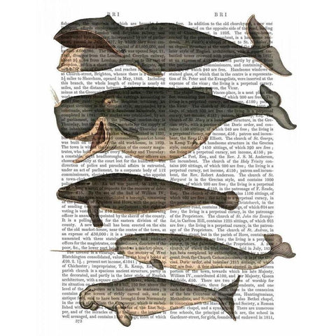 Five Vintage Whales White Modern Wood Framed Art Print by Fab Funky