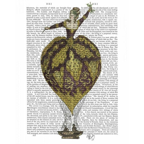 Hot Air Balloon Woman 1 Gold Ornate Wood Framed Art Print with Double Matting by Fab Funky