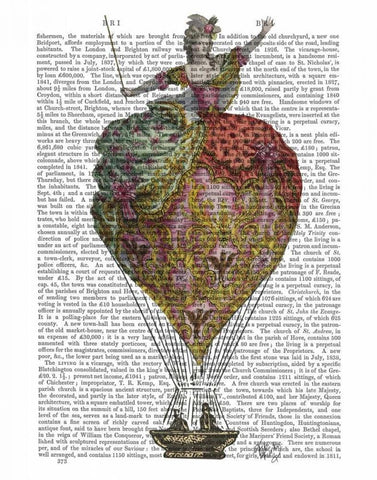 Hot Air Balloon Woman 3 White Modern Wood Framed Art Print with Double Matting by Fab Funky