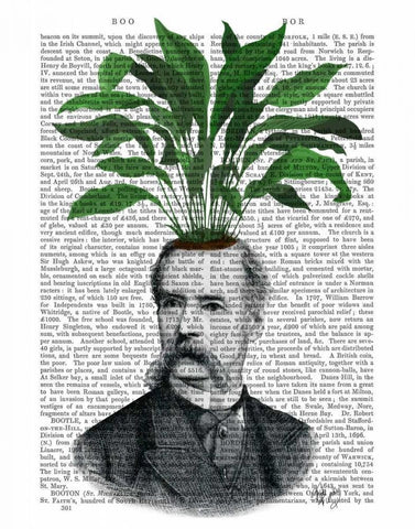 Aspidistra Head Plant Head White Modern Wood Framed Art Print with Double Matting by Fab Funky