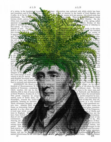 Fern Head Plant Head Black Ornate Wood Framed Art Print with Double Matting by Fab Funky